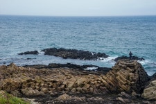 통합검색결과 | 대한민국 구석구석