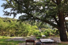 불정자연휴양림 - 주변 여행 및 근처 관광 명소 - 국내 여행 정보와 관광 명소 정보