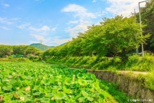 석탑사 - 주변 여행 및 근처 관광 명소 - 국내 여행 정보와 관광 명소 정보