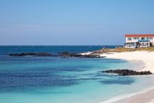 Udo Sanho Beach (Seobinbaeksa) (우도 산호해변 (서빈백사)) - Sightseeing - Korea travel and tourism information