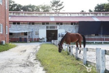 이월서가 - 주변 여행 및 근처 관광 명소 - 국내 여행 정보와 관광 명소 정보