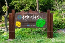 서산 보원사지 - 주변 여행 및 근처 관광 명소 - 국내 여행 정보와 관광 명소 정보