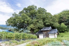 신기마을 관광 정보와 주변 관광 명소 및 근처 맛집 여행 정보