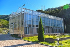 보은산V랜드 관광 정보와 주변 관광 명소 및 근처 맛집 여행 정보
