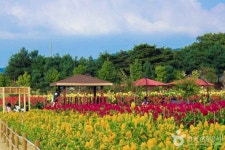 롯데마트_동두천점 - 주변 여행 및 근처 관광 명소 - 국내 여행 정보와 관광 명소 정보