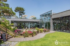 鳳歌ウリミル・ソンカルグクス（봉가우리밀손칼국수） - レストラン - 韓国旅行・観光情報