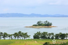 파라다이스시티 홈페이지 파라다이스시티 		title.travel	