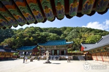 신흥사(설악산) - 주변 여행 및 근처 관광 명소 - 국내 여행 정보와 관광 명소 정보