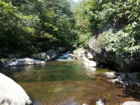 소백산자락길 - 생태테마사업 | 생태관광 | 구석구석 플러스 | 대한민국구석구석