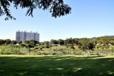 충주 고불선원 소조여래좌상 - 주변 여행 및 근처 관광 명소 - 국내 여행 정보와 관광 명소 정보