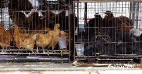 남양시장 쇼핑 정보와 주변 관광 명소 및 근처 맛집 여행 정보