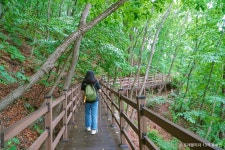 조동산촌마을 - 주변 여행 및 근처 관광 명소 - 국내 여행 정보와 관광 명소 정보