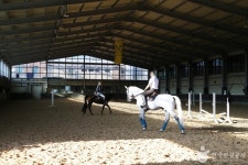 하노버승마장 레저스포츠 정보와 주변 관광 명소 및 근처 맛집 여행 정보