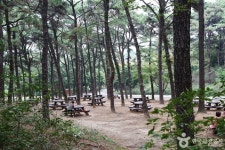 물향기수목원 관광 정보와 주변 관광 명소 및 근처 맛집 여행 정보