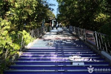 제황산공원모노레일카 관광 정보와 주변 관광 명소 및 근처 맛집 여행 정보