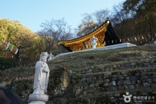 함안 영동리 회화나무 - 주변 여행 및 근처 관광 명소 - 국내 여행 정보와 관광 명소 정보
