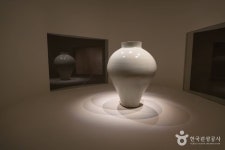 호림박물관 신사분관 문화 정보와 주변 관광 명소 및 근처 맛집 여행 정보