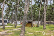 홀통유원지·홀통해변 관광 정보와 주변 관광 명소 및 근처 맛집 여행 정보