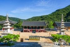 예천 사부리 소나무 - 주변 여행 및 근처 관광 명소 - 국내 여행 정보와 관광 명소 정보