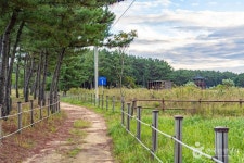 평해사구습지 생태공원 관광 정보와 주변 관광 명소 및 근처 맛집 여행 정보