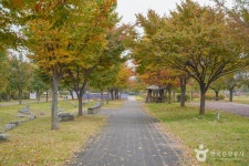 난지한강공원 관광 정보와 주변 관광 명소 및 근처 맛집 여행 정보