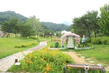 경기투어 : 용문산자락에서 즐기는 숲속여행