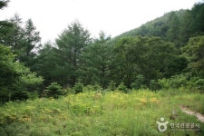 国望峰自然休養林（抱川）（국망봉자연휴양림（포천）） - 観光 - 韓国旅行・観光情報