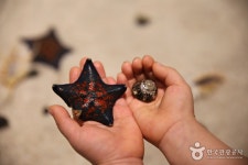 [매일아이] 강릉의 ‘따끈따끈한’ 새 명소에서 놀자! 경포아쿠아리움