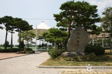 Muan Hoesan White Lotus Pond (무안회산백련지) - Sightseeing - Korea travel and tourism information