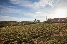 당진 영전황토마을 관광 정보와 주변 관광 명소 및 근처 맛집 여행 정보
