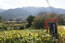 지리산유스캠프 - 주변 여행 및 근처 관광 명소 - 국내 여행 정보와 관광 명소 정보