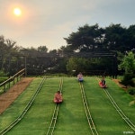 넘버824 음식점 정보와 주변 관광 명소 및 근처 맛집 여행 정보