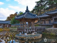 영천 별별미술마을 - 주변 여행 및 근처 관광 명소 - 국내 여행 정보와 관광 명소 정보