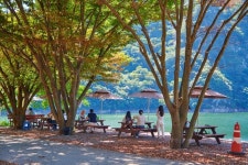 영숙백숙 음식점 정보와 주변 관광 명소 및 근처 맛집 여행 정보