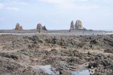 제부리어촌체험마을 관광 정보와 주변 관광 명소 및 근처 맛집 여행 정보