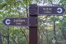 나리소전망대 관광 정보와 주변 관광 명소 및 근처 맛집 여행 정보