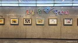 구찌 갤러리아 타임월드점 - 주변 여행 및 근처 관광 명소 - 국내 여행 정보와 관광 명소 정보