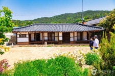 노력도 - 주변 여행 및 근처 관광 명소 - 국내 여행 정보와 관광 명소 정보