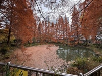 월영연못공원 관광 정보와 주변 관광 명소 및 근처 맛집 여행 정보