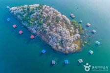 보타사(증평) - 주변 여행 및 근처 관광 명소 - 국내 여행 정보와 관광 명소 정보
