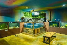 경포생태저류지 - 주변 여행 및 근처 관광 명소 - 국내 여행 정보와 관광 명소 정보