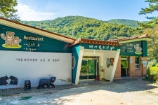 의신마을 관광 정보와 주변 관광 명소 및 근처 맛집 여행 정보