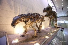 Geological Museum (지질박물관) - Culture - Korea travel and tourism information