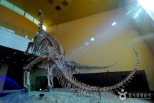 Haenam Uhangri Dinosaur Museum (해남공룡박물관) - Culture - Korea travel and tourism information