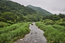 釜淵洞村（부연동마을） - 観光 - 韓国旅行・観光情報