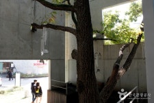 블루메 미술관 관광 정보와 주변 관광 명소 및 근처 맛집 여행 정보