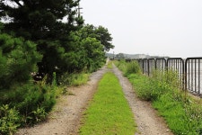 백미리희망캠핑장 레저스포츠 정보와 주변 관광 명소 및 근처 맛집 여행 정보