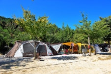 울미연꽃마을 - 주변 여행 및 근처 관광 명소 - 국내 여행 정보와 관광 명소 정보