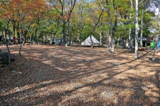 숲속가든캠핑장 레저스포츠 정보와 주변 관광 명소 및 근처 맛집 여행 정보