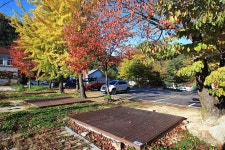 봉화 금강소나무림 - 주변 여행 및 근처 관광 명소 - 국내 여행 정보와 관광 명소 정보